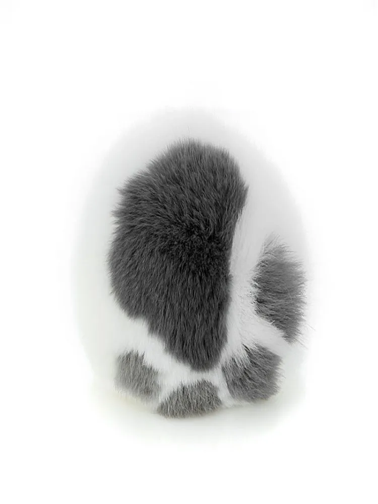 ĐT36